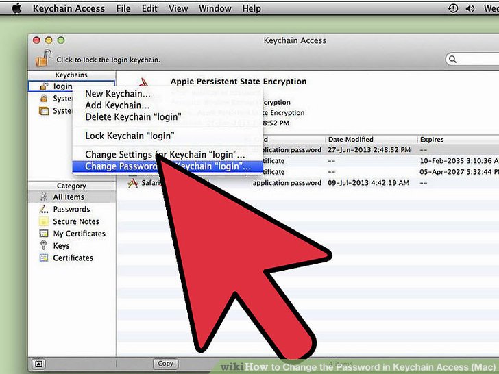 how use download manager for login access mac